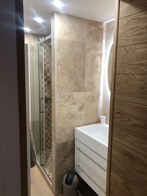 Shower, hair dryer, toilet paper