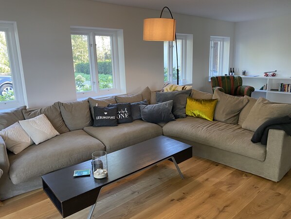 Televisio, pöytätennispöytä, kirjoja