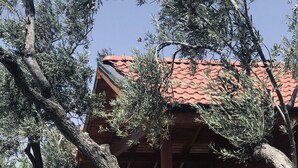 Un edificio de madera con techo de tejas rojas, rodeado de olivos.
