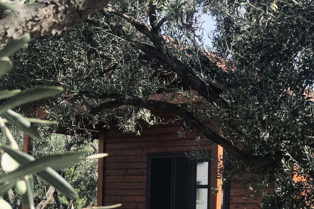 Une cabane en bois avec un porche, une porte et un petit jardin agrémenté d’arbustes et d’une zone dallée.