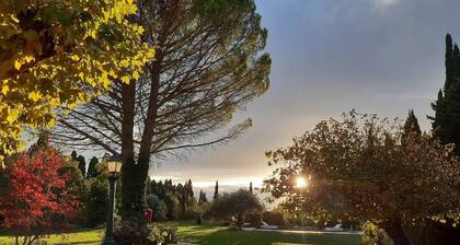 WELCOME TO REMY SAID