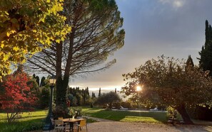 Outdoor dining - WELCOME TO REMY SAID (SAINT RÉMY DE PROVENCE)