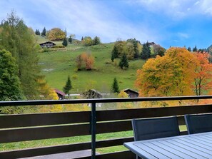 Outdoor dining - Cozy apartment near slopes, 3*, capacity 6, with WIFI (La Clusaz)