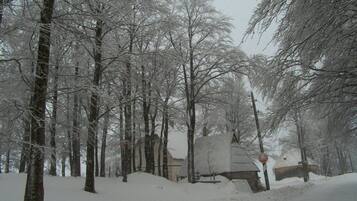 House | Snow and ski sports