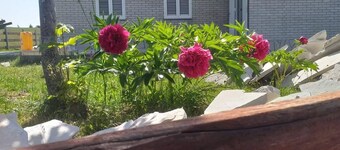 Remarkable 3-bed House in Zabljak