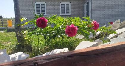 Remarkable 3-bed House in Zabljak