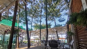 An outdoor seating area with tables and chairs under a wooden pergola, surrounded by trees and greenery. - New Akileda Hotel (Golem)