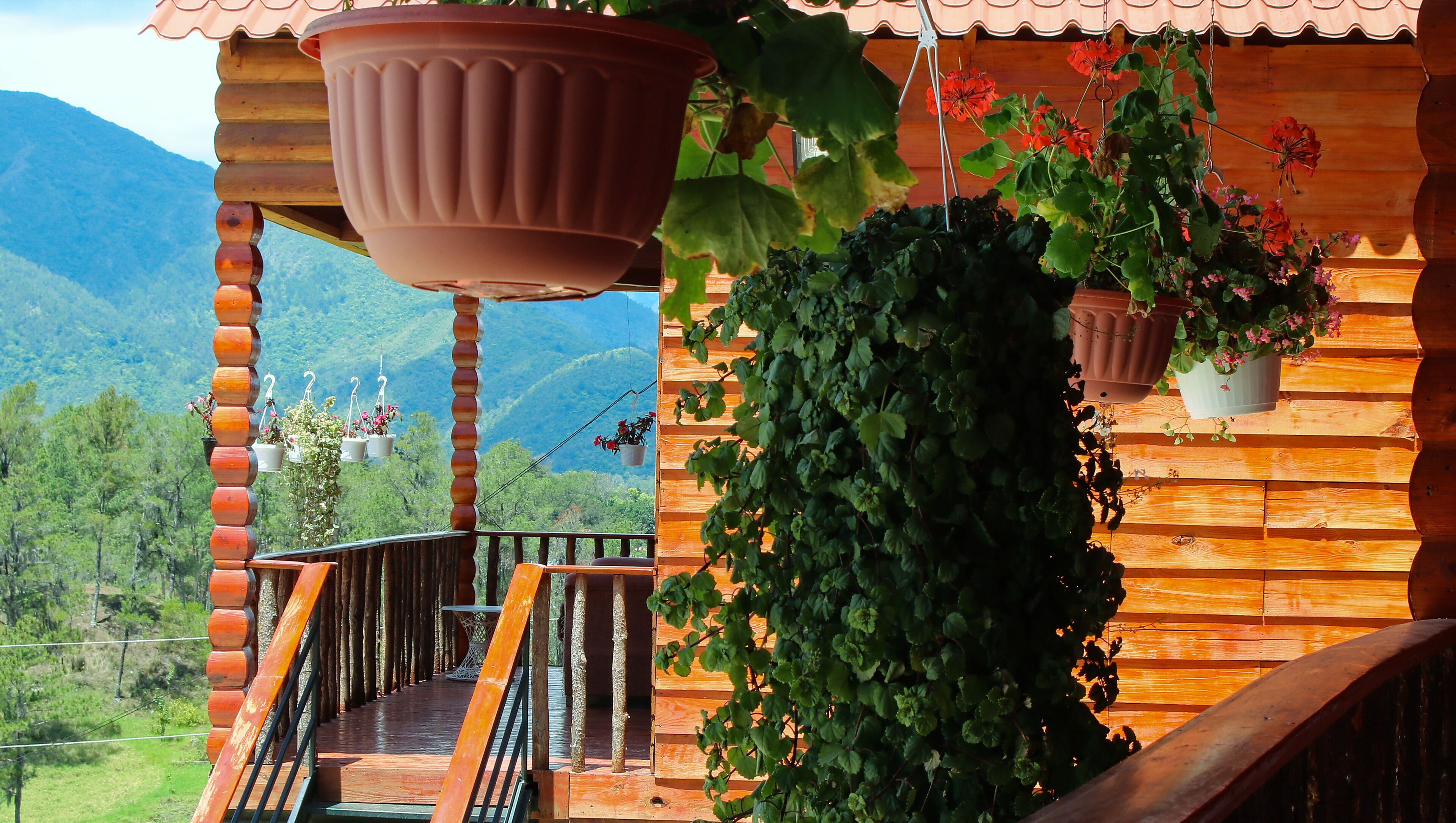 Classic Tree House | Terrace/patio