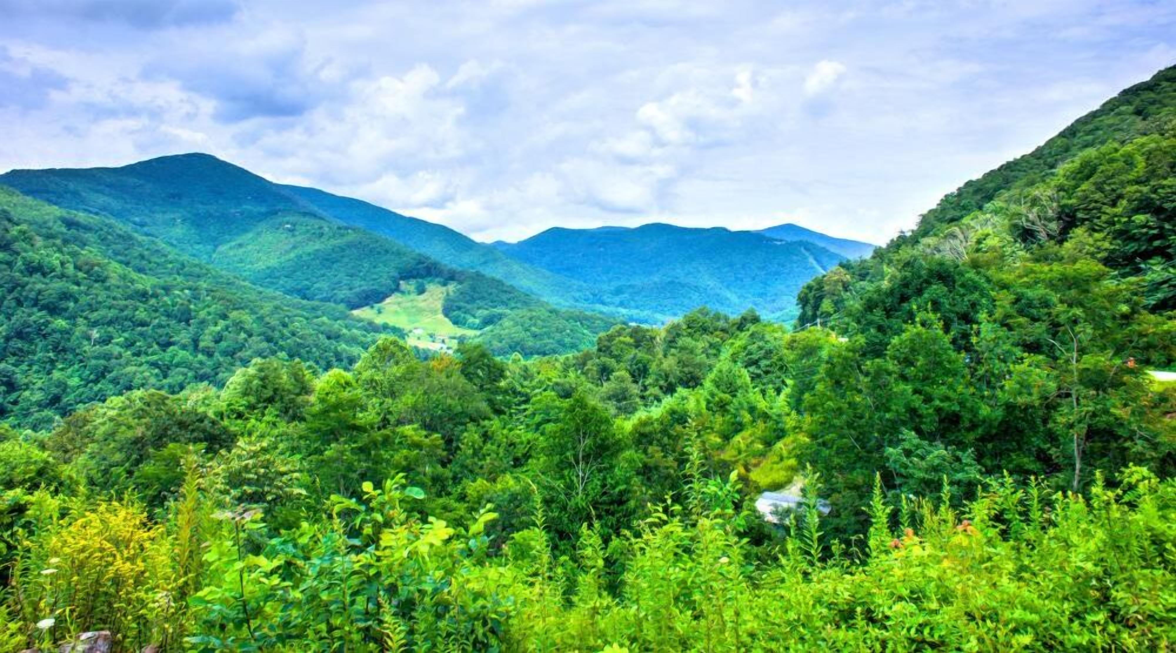 A lush green valley with mountains in the background.