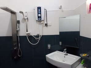 Combined shower/tub, bidet, towels, soap