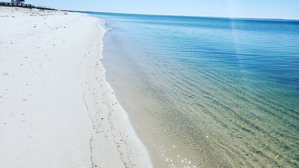 A beach with clear shallow water, a sandy shore, and a distant tree line. - Paradise | Oceanview, Hottub, Shuffleboard, Bikes, Beach, Pool (Port St. Joe)