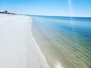 ビーチ