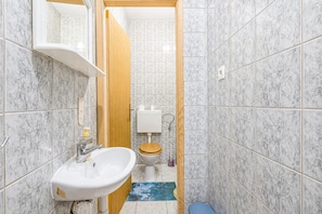 Maison familiale, 3 chambres, 2 salles de bains (Rural Homestead Trenkovo) | Salle de bain | Séchoir à cheveux, shampooing