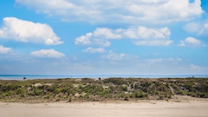 A coastal landscape with a sandy beach, sparse vegetation, and a clear sky. - Captivating oceanfront in this 1st floor condo in Wild Dunes (Island Of Palms)