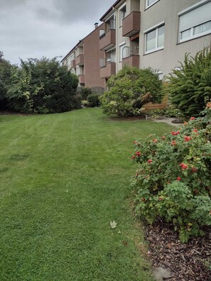 المنطقة المحيطة بالمنشأة