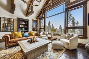 Télévision, cheminée, espaces bureaux