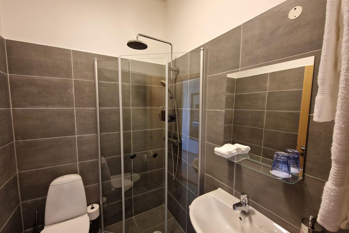 shower, rainfall showerhead, hair dryer, towels