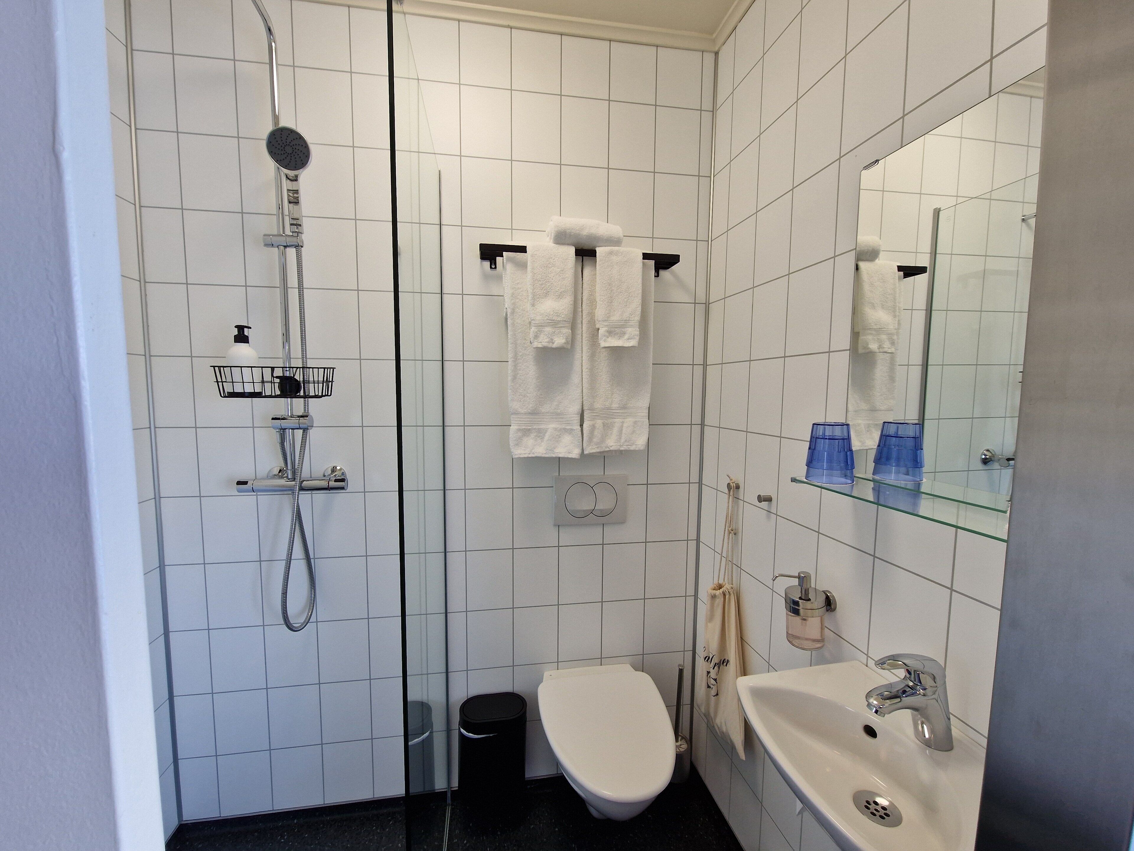 economy double room | bathroom | shower, rainfall showerhead, hair dryer, towels
