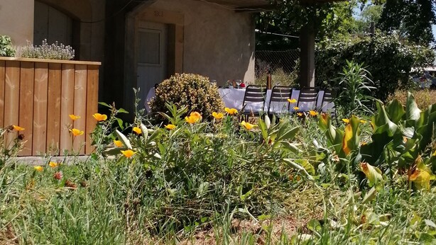 A two-story building with a balcony, a wooden fence, and a garden with yellow flowers.