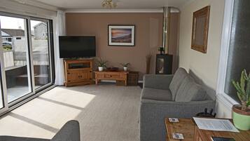 Smart TV, fireplace, DVD player, books