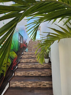 Property grounds - Suite “the roof-top” Private pool on the roof top, grill, TV, fridge, sink. (San Miguel de Cozumel)