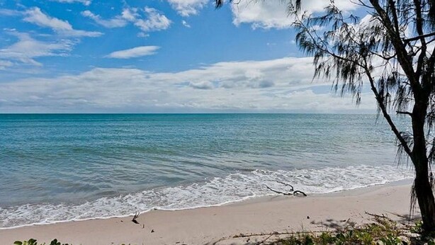 Ein Strand mit klarem türkisblauem Wasser, sandigem Ufer und einem Baum mit herabhängenden Ästen.