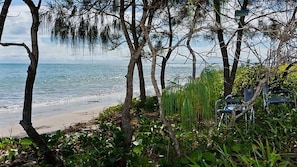 On the beach - Kingfisher by the Sea (Toogoom)