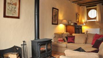 Télévision, cheminée, lecteur de DVD, livres