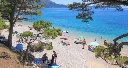 Luxury Apartment Goja with heated infinity pool and Jacuzzi- near Dubrovnik