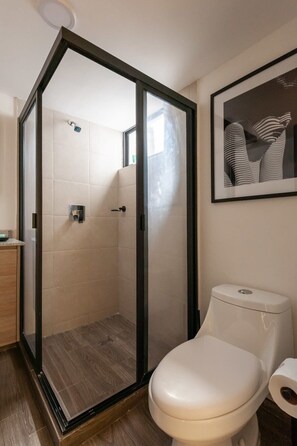Shower, hair dryer, towels, shampoo
