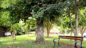 A park bench under a tree with a grassy area and a bench in the background. - Pousada dos Frades (Garibaldi)