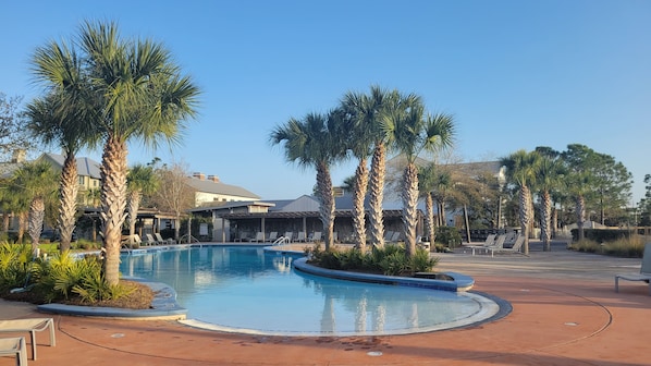 A pool surrounded by palm trees and lounge chairs, with a building in the background.