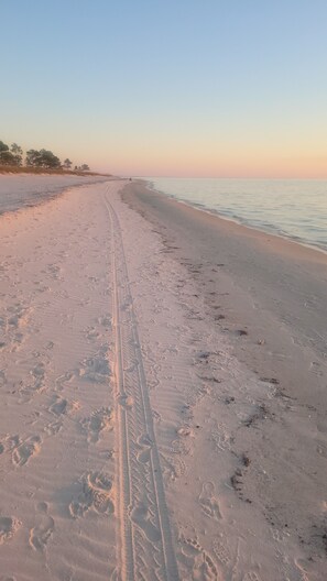 Beach nearby, sun loungers, beach towels - Seaside Retreat - resort setting with beach and pool access (Port saint joe)