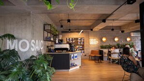 A coffee shop interior with a concrete wall, wooden floor, and green plants. - Mosaic Studios Buenavista (Barranquilla)