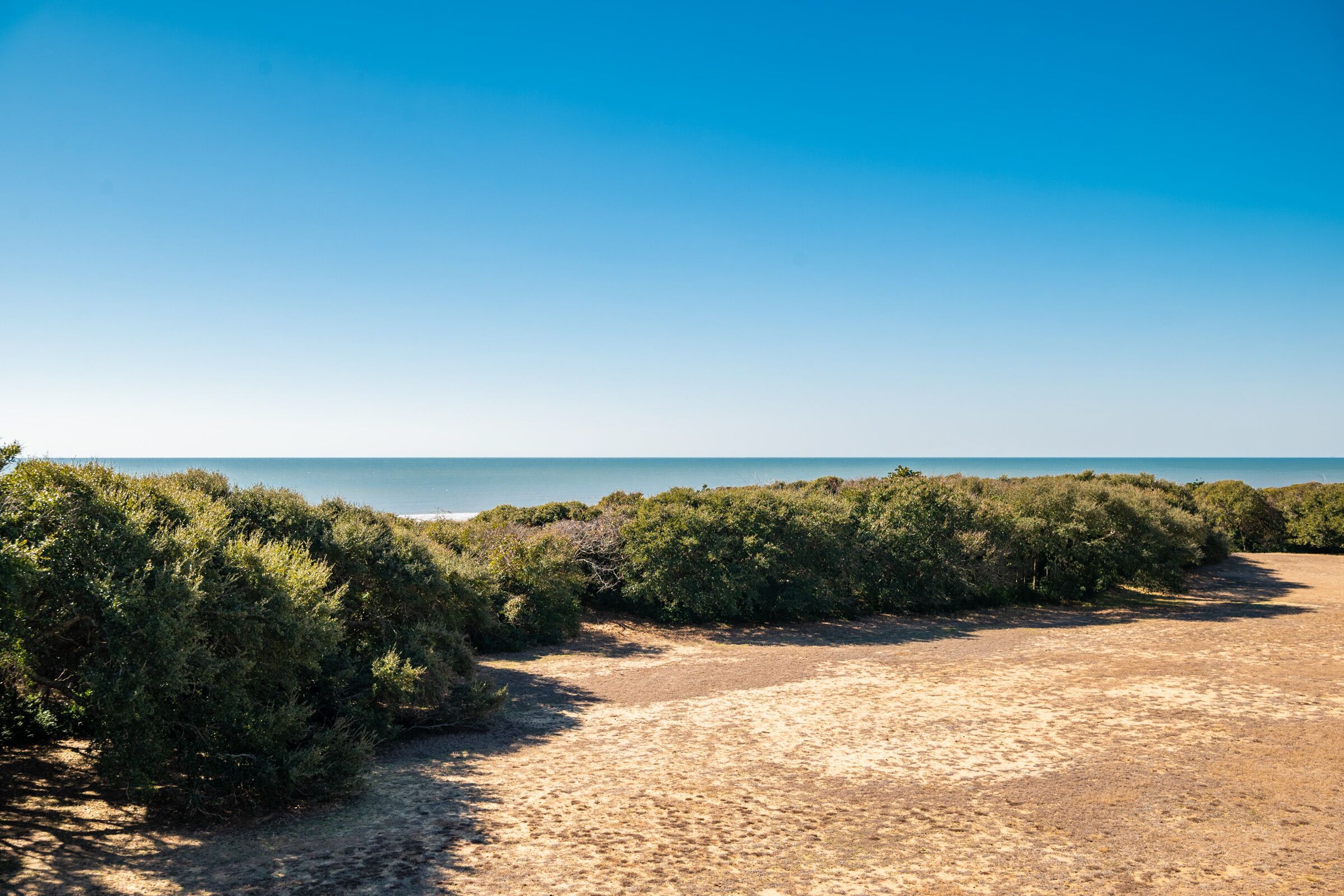 Castaway: Caswell Condo with Expansive Ocean Views, Community Pool, Community Be