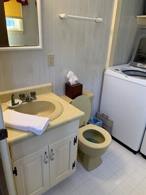 Bathtub, hair dryer, towels, soap