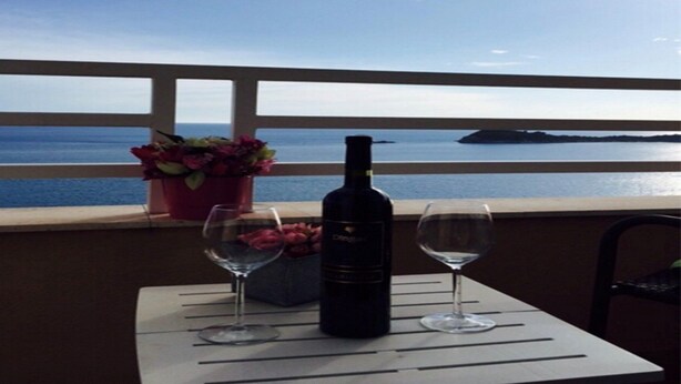 A table with a bottle and two wine glasses, a potted plant, and a view of the sea. - Apartments Anita (Konavle)