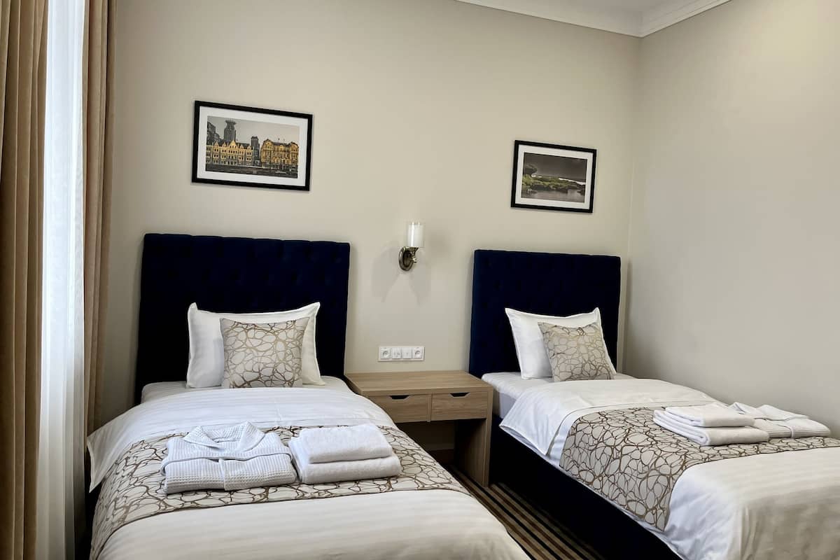 Deluxe Twin Room | Premium bedding, memory-foam beds, minibar, individually decorated