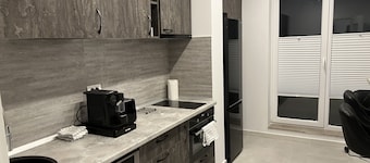 Stunning 3-Room Penthouse W10+W11