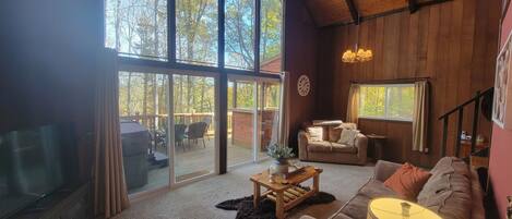 TV connectée, cheminée, lecteur de DVD