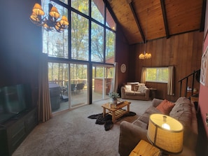 Smart TV, fireplace, DVD player