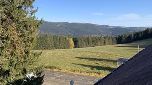 A view from a building's roof overlooking a grassy field with trees and distant hills. - At Léa's cozy little nest (Muhlbach)