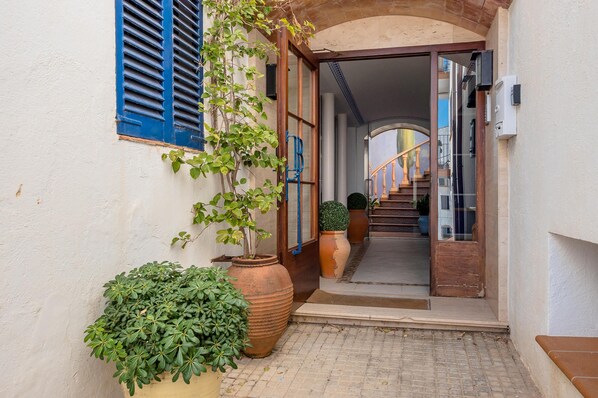 A narrow alleyway with a wooden door leading to a staircase. There are potted plants and a large vase on the ground.