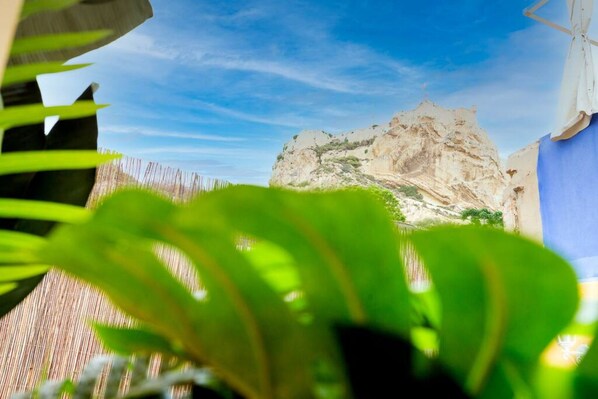 Exterior detail - 4-storey semi-detached house in the center of alicante (Alicante (Alacant))