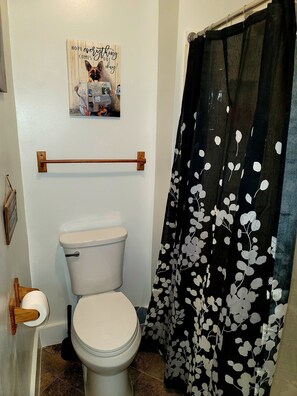 Combined shower/bathtub - Mthly Stay Discounts & Pet Friendly Downtown Lansing Sparrow Hospital (Lansing)