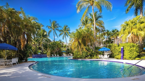 Une piscine entourée de palmiers et agrémentée de parasols bleus, avec des chaises longues et un bord de piscine carrelé.