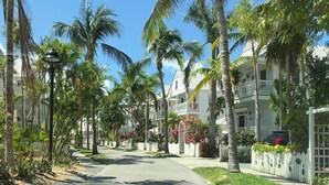 Une rue résidentielle bordée de palmiers et de maisons, avec un trottoir et un lampadaire.