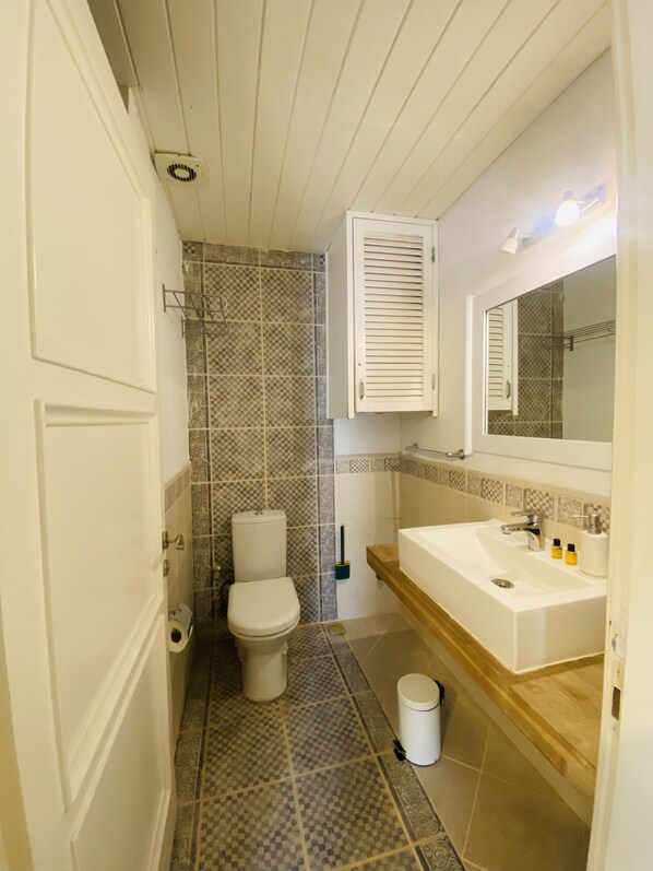 A bathroom with a toilet, sink, and mirror.
