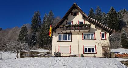 Sonnenschein - die Kraft der Natur und der Sauna