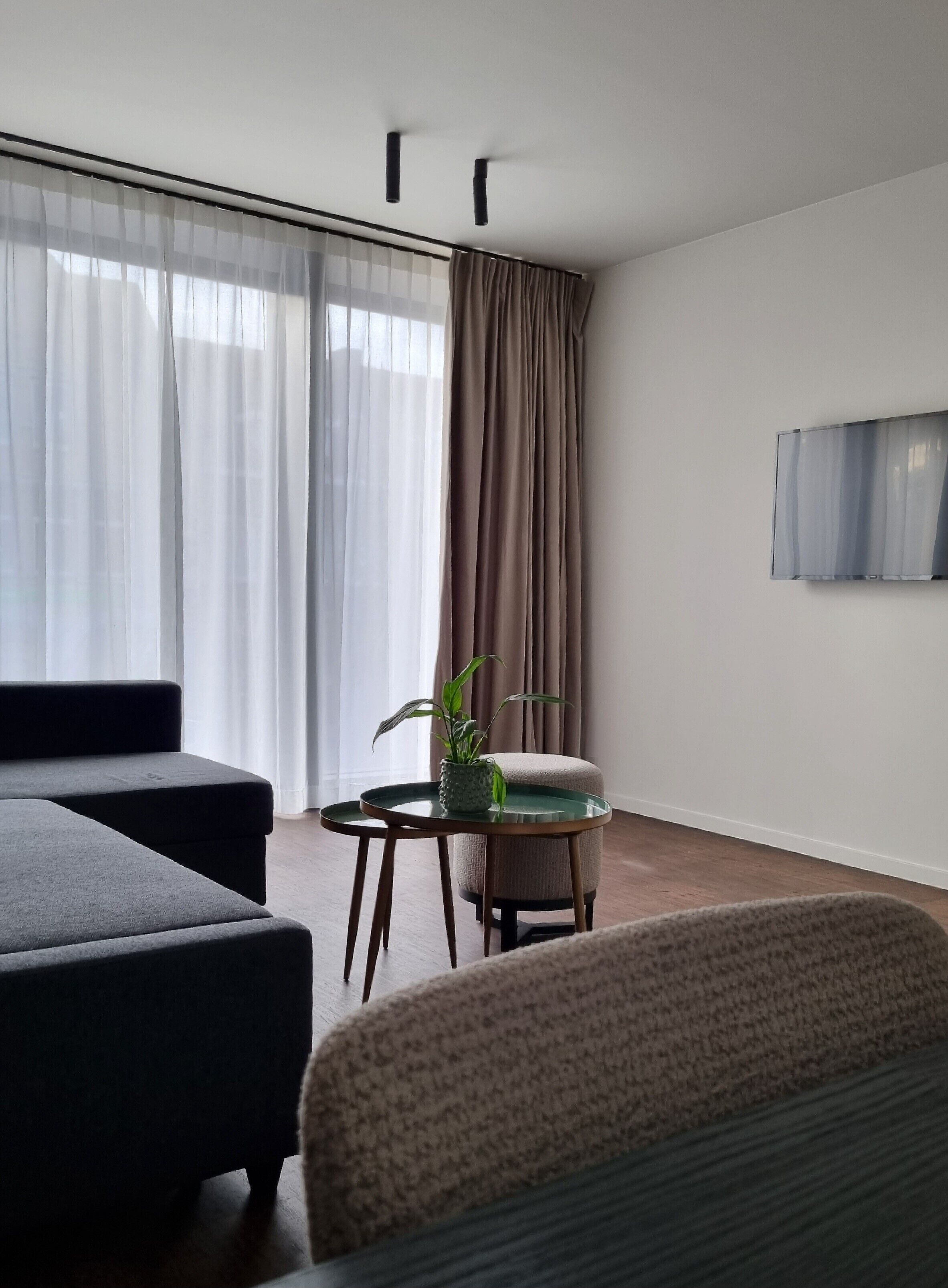 A modern living room with a sofa, a small table with a plant, and a television mounted on the wall.